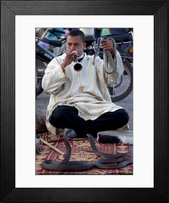 Framed Print : Snake charmer, Place Jemaa El Fna, Marrakesh, Morocco, North Africa, Africa Framed Print : Snake charmer, Place Jemaa El Fna, Marrakesh, Morocco, North Africa, Africa