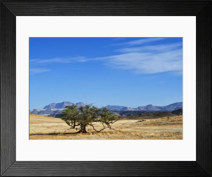 Framed Print : Huab River Valley area, Damaraland, Kunene Region, Namibia, Africa Framed Print : Huab River Valley area, Damaraland, Kunene Region, Namibia, Africa