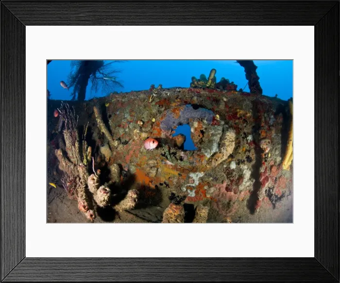 Framed Print : Coral encrusted porthole on the Lesleen M wreck, a freighter sunk as an artificial reef in 1985 off Anse Cochon Bay, St. Lucia, West Indies, Caribbean, Central America Framed Print : Coral encrusted porthole on the Lesleen M wreck, a freighter sunk as an artificial reef in 1985 off Anse Cochon Bay, St. Lucia, West Indies, Caribbean, Central America