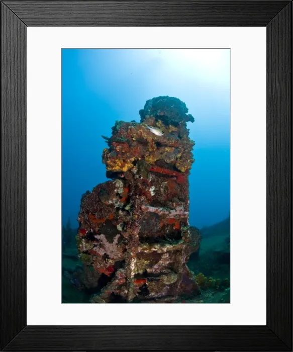 Framed Print : Ladder on the wreck of the Lesleen M freighter, sunk as an artificial reef in 1985 in Anse Cochon Bay, St. Lucia, West Indies, Caribbean, Central America Framed Print : Ladder on the wreck of the Lesleen M freighter, sunk as an artificial reef in 1985 in Anse Cochon Bay, St. Lucia, West Indies, Caribbean, Central America