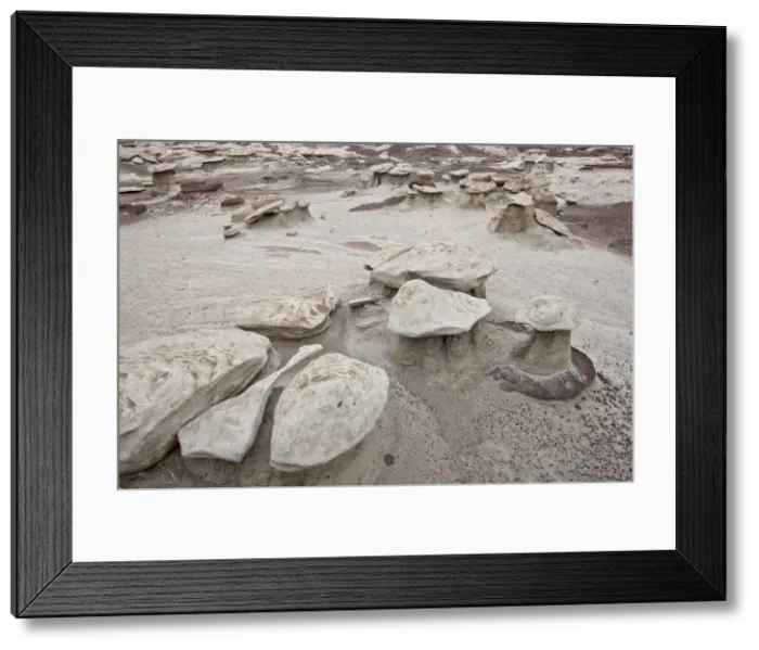 Framed Print : Small mushroom formations in the badlands, Bisti Wilderness, New Mexico, United States of America, North America Framed Print : Small mushroom formations in the badlands, Bisti Wilderness, New Mexico, United States of America, North America