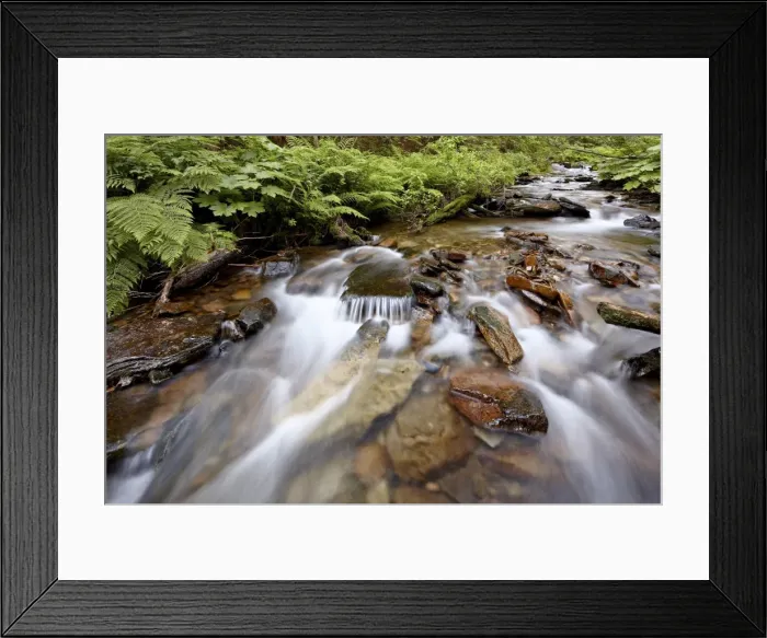 Framed Print : Cascades on Yellow Dog Creek, Coeur d Alene National Forest, Idaho Panhandle National Forests, Idaho, United States of America, North America Framed Print : Cascades on Yellow Dog Creek, Coeur d Alene National Forest, Idaho Panhandle National Forests, Idaho, United States of America, North America