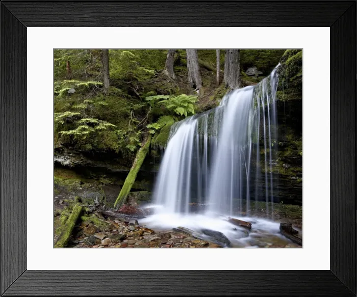 Framed Print : Fern Falls, Coeur d Alene National Forest, Idaho Panhandle National Forests, Idaho, United States of America, North America Framed Print : Fern Falls, Coeur d Alene National Forest, Idaho Panhandle National Forests, Idaho, United States of America, North America