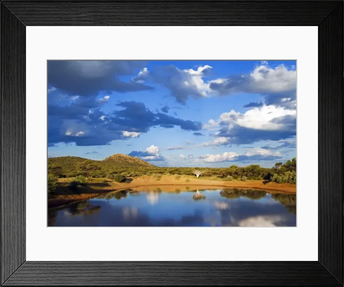 Framed Print : Ongava Game Reserve, Namibia, Africa Framed Print : Ongava Game Reserve, Namibia, Africa