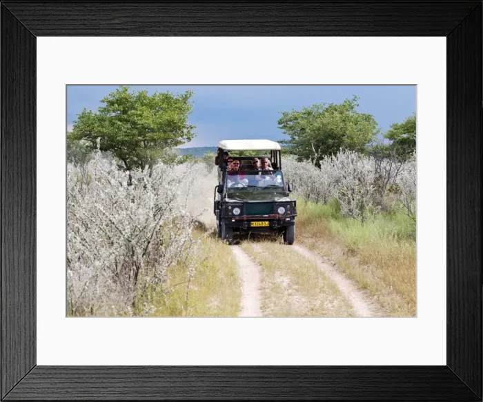 Framed Print : Ongava Game Reserve, Namibia, Africa Framed Print : Ongava Game Reserve, Namibia, Africa