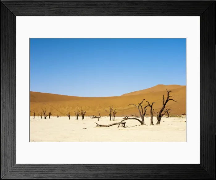 Framed Print : Dead trees, Deadvlei, Sossusvlei, Namib Naukluft Park, Namib Desert, Namibia, Africa Framed Print : Dead trees, Deadvlei, Sossusvlei, Namib Naukluft Park, Namib Desert, Namibia, Africa