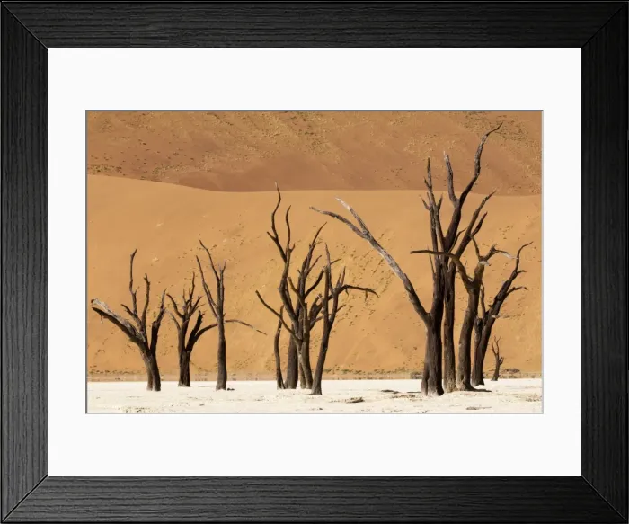 Framed Print : Dead trees, Deadvlei, Sossusvlei, Namib Naukluft Park, Namib Desert, Namibia, Africa Framed Print : Dead trees, Deadvlei, Sossusvlei, Namib Naukluft Park, Namib Desert, Namibia, Africa