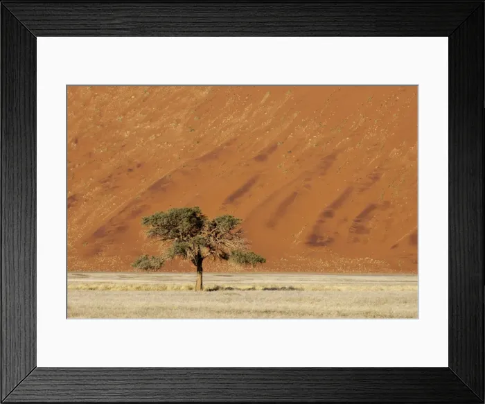 Framed Print : Sand dune, Sossusvlei, Namib Naukluft Park, Namib Desert, Namibia, Africa Framed Print : Sand dune, Sossusvlei, Namib Naukluft Park, Namib Desert, Namibia, Africa