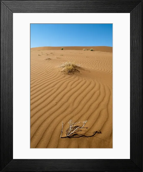 Framed Print : Sossusvlei, Namib Naukluft Park, Namib Desert, Namibia, Africa Framed Print : Sossusvlei, Namib Naukluft Park, Namib Desert, Namibia, Africa