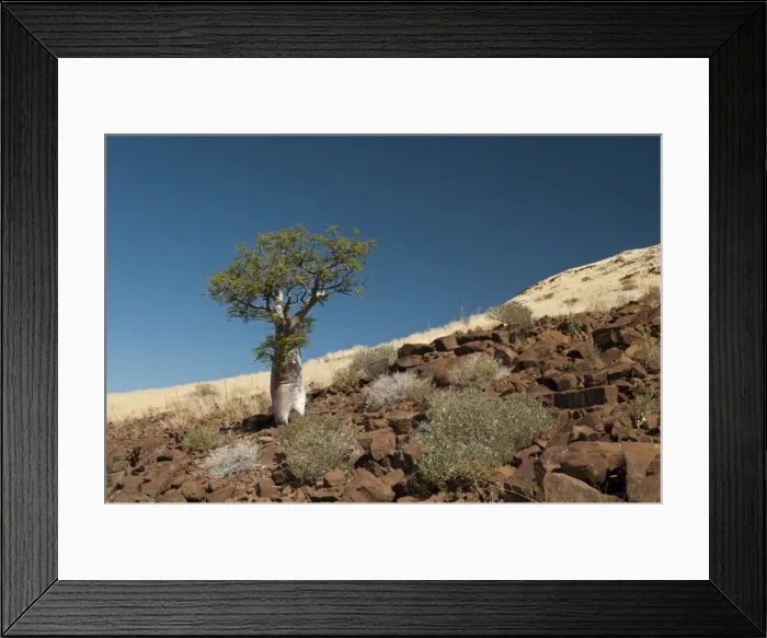 Framed Print : Huab River Valley, Torra Conservancy, Damaraland, Namibia, Africa Framed Print : Huab River Valley, Torra Conservancy, Damaraland, Namibia, Africa