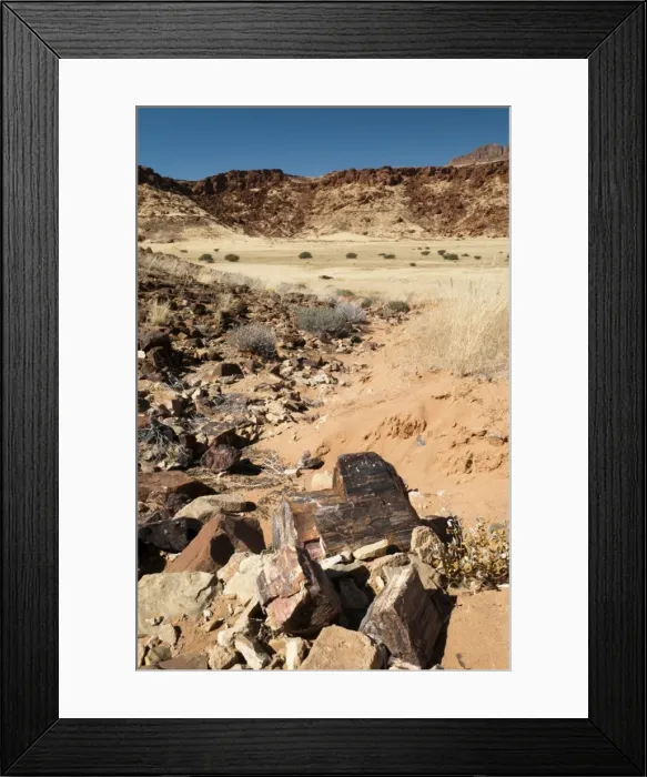 Framed Print : Petrified tree, Huab River Valley, Torra Conservancy, Damaraland, Namibia, Africa Framed Print : Petrified tree, Huab River Valley, Torra Conservancy, Damaraland, Namibia, Africa