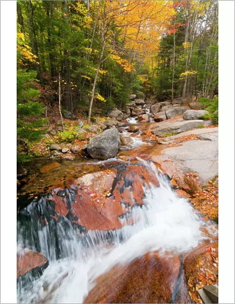 Franconia Notch State Park, New Hampshire, New England, United States of America, North America
