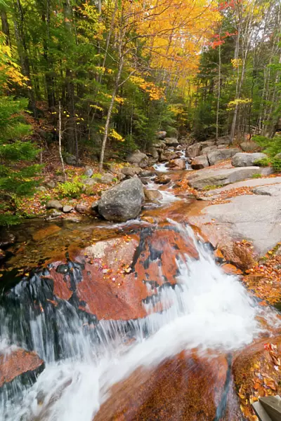 Franconia Notch State Park, New Hampshire, New England, United States of America, North America