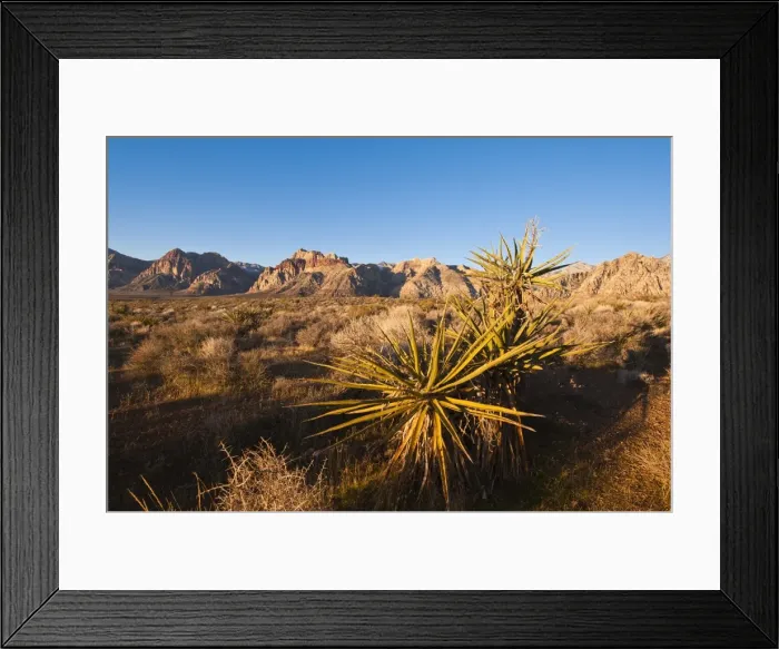 Framed Print : Red Rock Canyon outside Las Vegas, Nevada, United States of America, North America Framed Print : Red Rock Canyon outside Las Vegas, Nevada, United States of America, North America