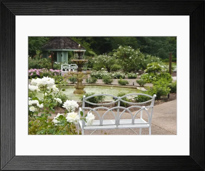 Framed Print : Harry P. Leu Gardens, Orlando, Florida, United States of America, North America Framed Print : Harry P. Leu Gardens, Orlando, Florida, United States of America, North America