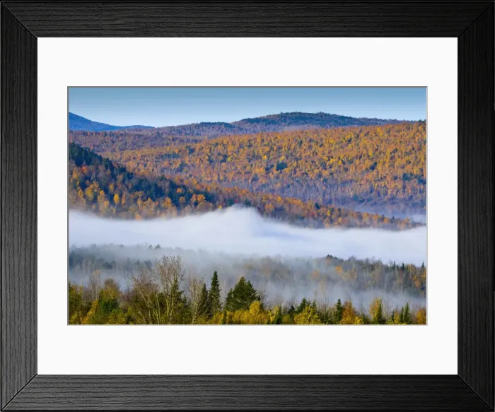 Framed Print : Autumnal foliage, New Hampshire, New England, United States of America, North America Framed Print : Autumnal foliage, New Hampshire, New England, United States of America, North America
