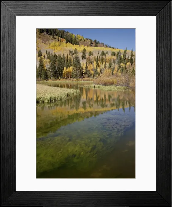 Framed Print : Silver Lake in the fall, Wasatch-Cache National Forest, Utah, United States of America, North America Framed Print : Silver Lake in the fall, Wasatch-Cache National Forest, Utah, United States of America, North America