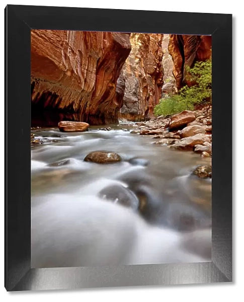 Cascade in The Narrows of the Virgin River, Zion National Park, Utah, United States of America, North America