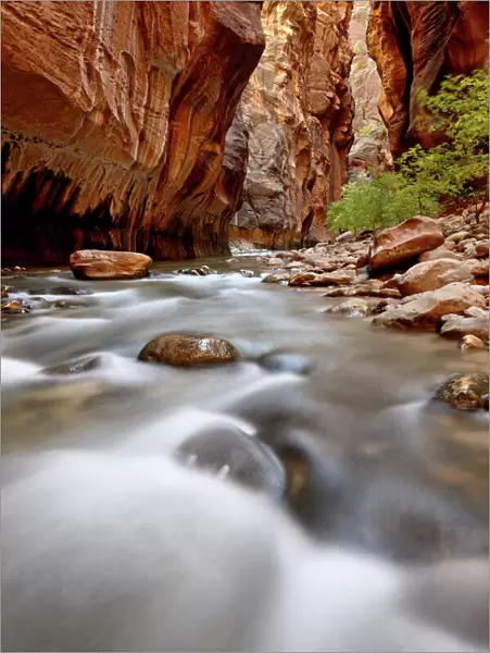 Cascade in The Narrows of the Virgin River, Zion National Park, Utah, United States of America, North America
