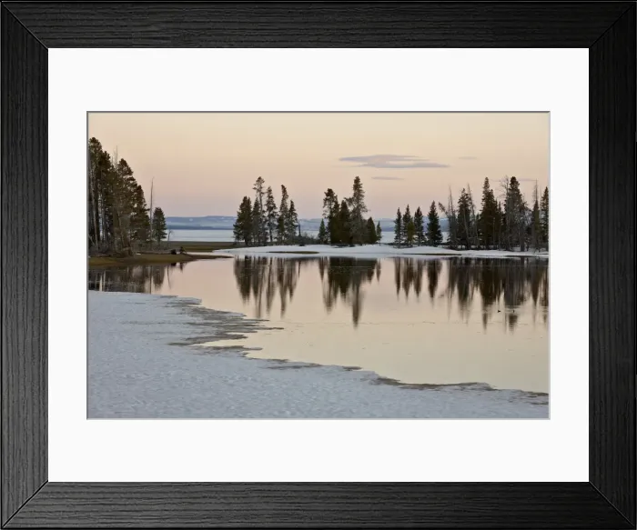 Framed Print : Evergreens along Yellowstone Lake in the early spring at sunset, Yellowstone National Park, UNESCO World Heritage Site, Wyoming, United States of America, North America Framed Print : Evergreens along Yellowstone Lake in the early spring at sunset, Yellowstone National Park, UNESCO World Heritage Site, Wyoming, United States of America, North America