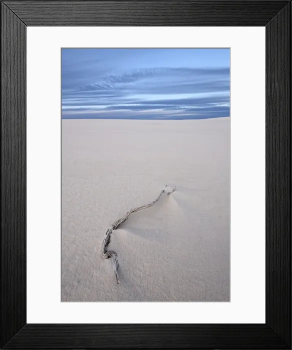 Framed Print : Weathered twig on a dune, White Sands National Monument, New Mexico, United States of America, North America Framed Print : Weathered twig on a dune, White Sands National Monument, New Mexico, United States of America, North America