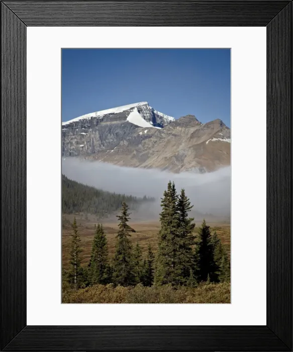 Framed Print : Fog in the Alpine valley, Jasper National Park, UNESCO World Heritage Site, Alberta, Canada, North America Framed Print : Fog in the Alpine valley, Jasper National Park, UNESCO World Heritage Site, Alberta, Canada, North America
