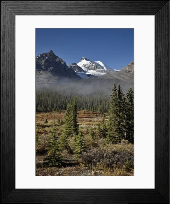 Framed Print : Fog in the Alpine valley, Jasper National Park, UNESCO World Heritage Site, Alberta, Canada, North America Framed Print : Fog in the Alpine valley, Jasper National Park, UNESCO World Heritage Site, Alberta, Canada, North America