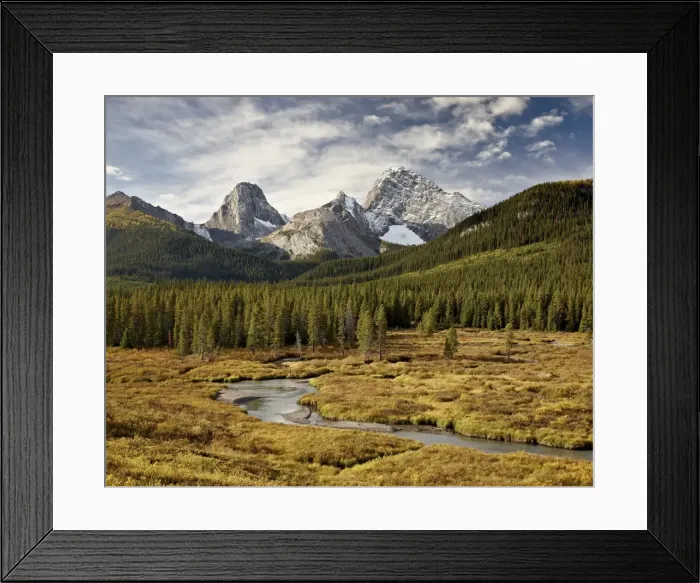 Framed Print : Alpine scene in the fall with Smutts Creek, Commonwealth Peak on left, Pigs Tail (Sharks Tooth) in the center and Mount Birdwood on the right, Peter Lougheed Provincial Park, Kananaskis Country, Alberta, Canada, North America