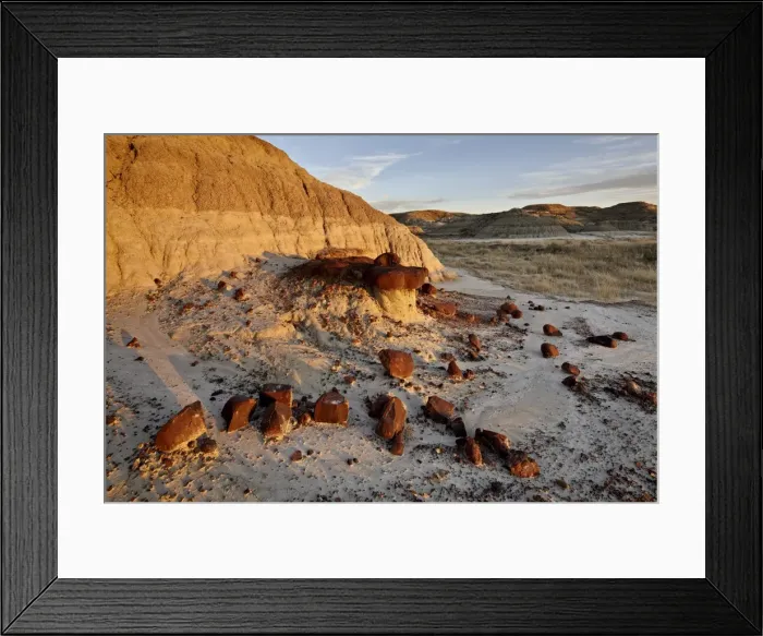 Framed Print : Badlands, Dinosaur Provincial Park, UNESCO World Heritage Site, Alberta, Canada, North America Framed Print : Badlands, Dinosaur Provincial Park, UNESCO World Heritage Site, Alberta, Canada, North America