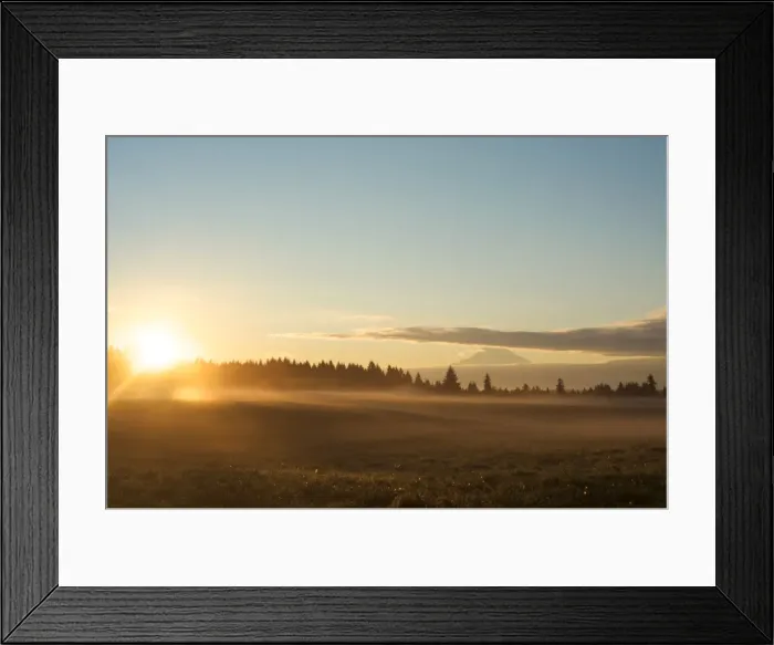 Framed Print : The sun rises on field of green grass with Douglas Firs and Mount Rainier in the distance, Vashon Island, Washington State, United States of America, North America Framed Print : The sun rises on field of green grass with Douglas Firs and Mount Rainier in the distance, Vashon Island, Washington State, United States of America, North America