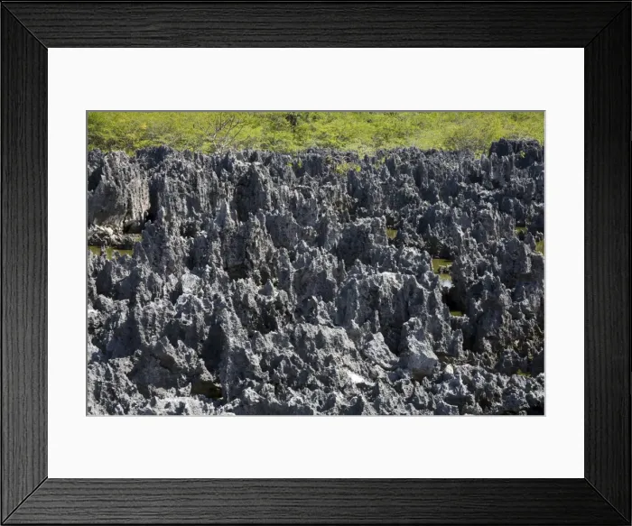 Framed Print : Rock Formations in Hell, Grand Cayman, Cayman Islands, Greater Antilles, West Indies, Caribbean, Central America Framed Print : Rock Formations in Hell, Grand Cayman, Cayman Islands, Greater Antilles, West Indies, Caribbean, Central America