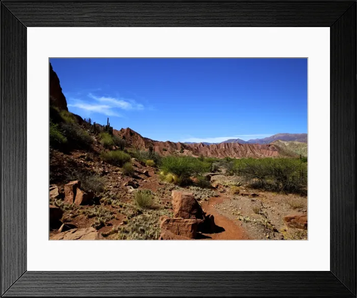 Framed Print : Red rock formations in the Canon Del Inca, Tupiza Chichas Range, Andes, Southwestern Bolivia, South America Framed Print : Red rock formations in the Canon Del Inca, Tupiza Chichas Range, Andes, Southwestern Bolivia, South America