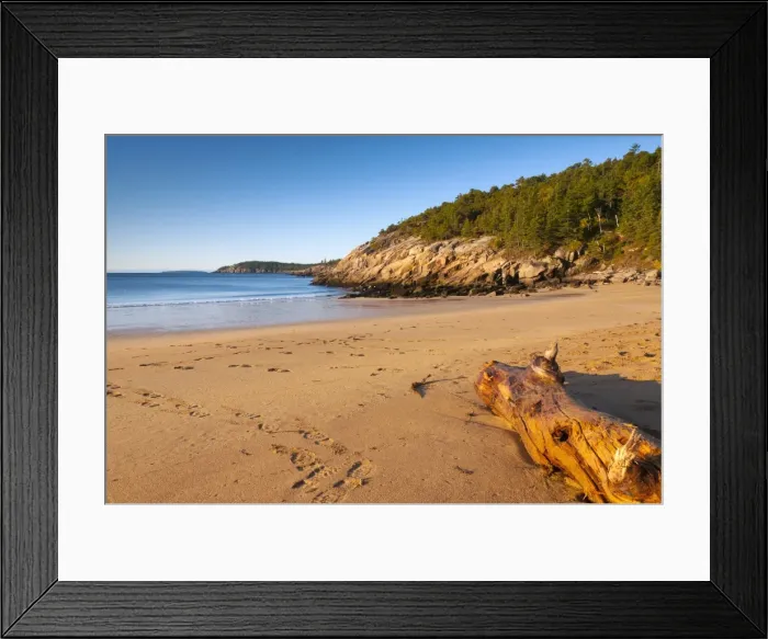 Framed Print : Sandy Beach, Acadia National Park, Mount Desert Island, Maine, New England, United States of America, North America Framed Print : Sandy Beach, Acadia National Park, Mount Desert Island, Maine, New England, United States of America, North America