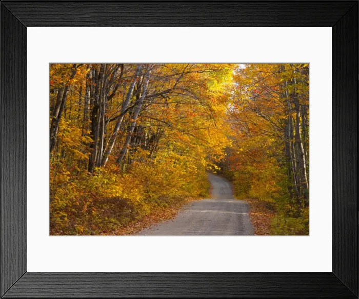 Framed Print : Fall colours, Baxter State Park, Maine, New England, United States of America, North America Framed Print : Fall colours, Baxter State Park, Maine, New England, United States of America, North America