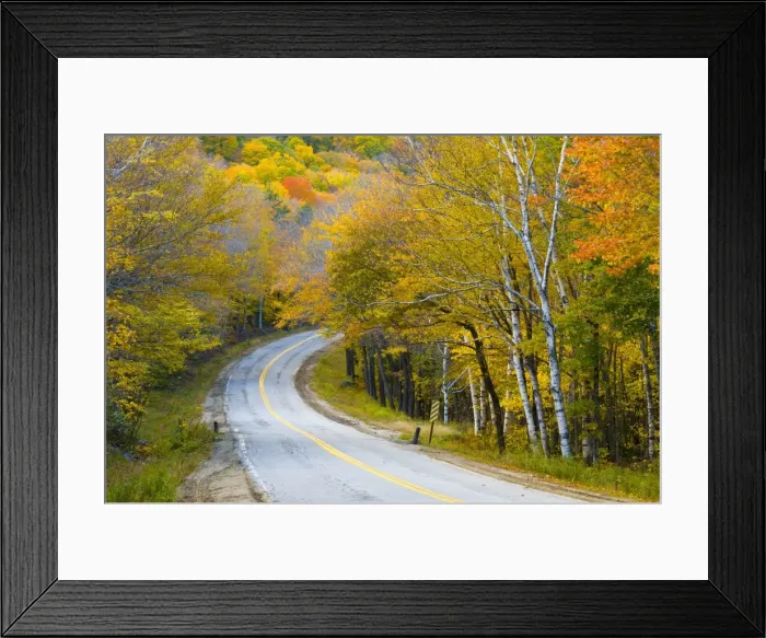 Framed Print : Grafton Notch State Park, Maine, New England, United States of America, North America Framed Print : Grafton Notch State Park, Maine, New England, United States of America, North America