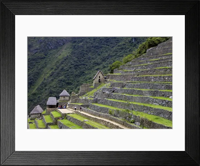 Framed Print : Agricultural terraces, Machu Picchu, peru, peruvian, south america, south american, latin america, latin american South America. The lost city of the Inca was rediscovered by Hiram Bingham in 1911 Framed Print : Agricultural terraces, Machu Picchu, peru, peruvian, south america, south american, latin america, latin american South America. The lost city of the Inca was rediscovered by Hiram Bingham in 1911