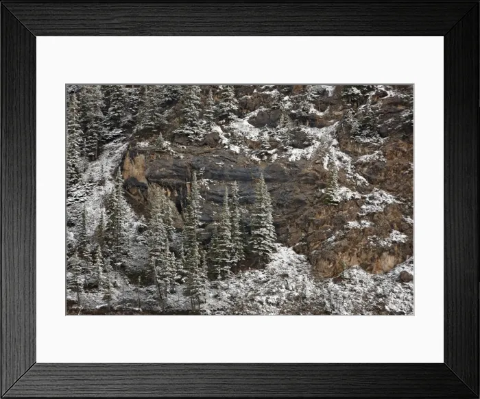 Framed Print : Evergreens on a cliff with fresh snow, Jasper National Park, UNESCO World Heritage Site, Alberta, Canada, North America Framed Print : Evergreens on a cliff with fresh snow, Jasper National Park, UNESCO World Heritage Site, Alberta, Canada, North America