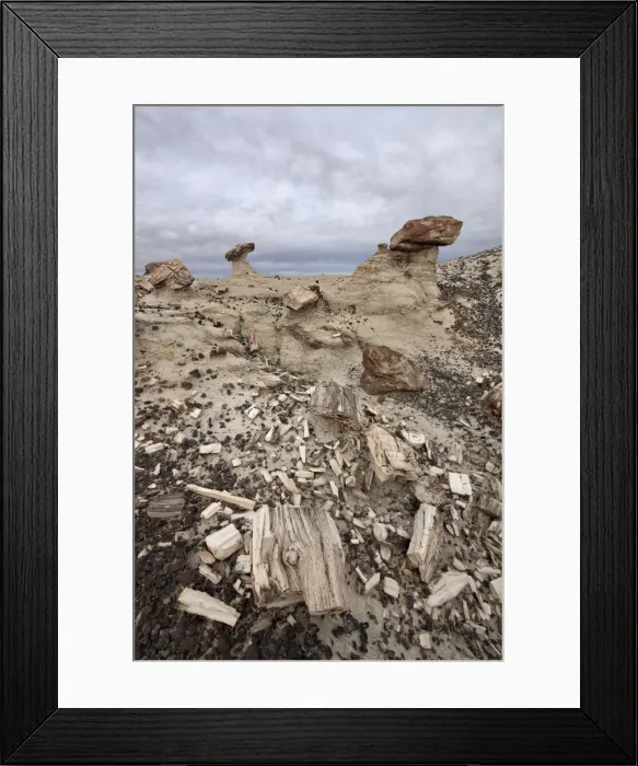 Framed Print : Petrified wood in the badlands on a cloudy day, San Juan Basin, New Mexico, United States of America, North America Framed Print : Petrified wood in the badlands on a cloudy day, San Juan Basin, New Mexico, United States of America, North America