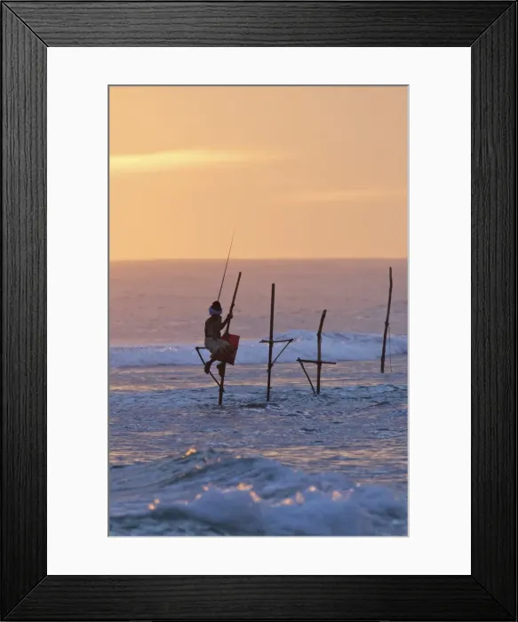 Framed Print : Stilt fisherman at Weligama, South Coast, Sri Lanka, Asia Framed Print : Stilt fisherman at Weligama, South Coast, Sri Lanka, Asia