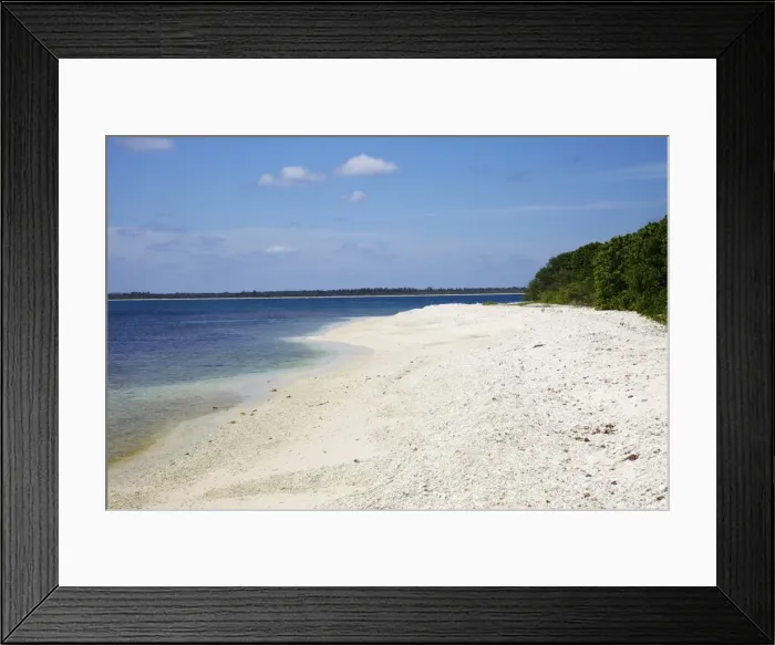 Framed Print : View of coral beach on Pigeon Island National Park, Trincomalee, Sri Lanka, Asia Framed Print : View of coral beach on Pigeon Island National Park, Trincomalee, Sri Lanka, Asia