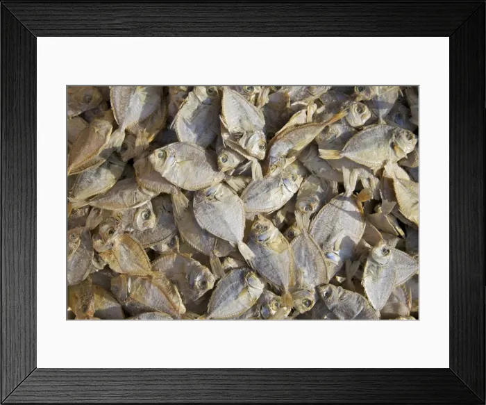 Framed Print : Dried fish for sale on market stall, Nilaveli, Trincomalee, Sri Lanka, Asia Framed Print : Dried fish for sale on market stall, Nilaveli, Trincomalee, Sri Lanka, Asia