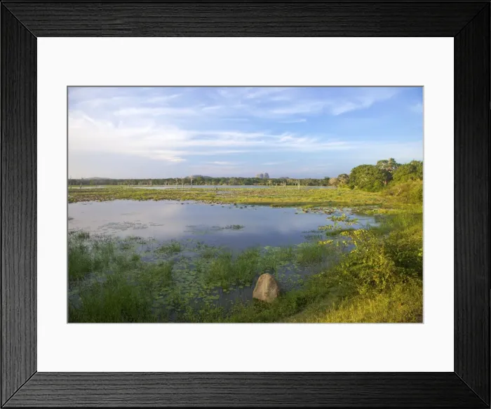 Framed Print : Lake and view of Elephant Rock in late afternoon, Yala National Park, Sri Lanka, Asia Framed Print : Lake and view of Elephant Rock in late afternoon, Yala National Park, Sri Lanka, Asia