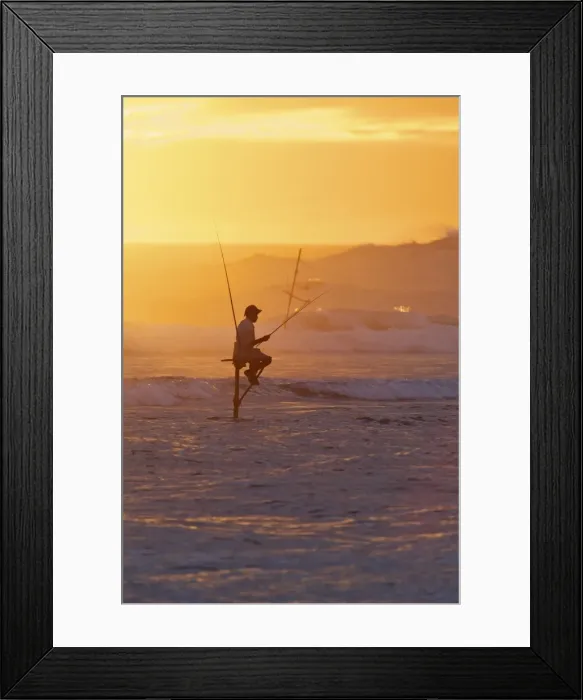 Framed Print : Stilt fisherman at Weligama, South Coast, Sri Lanka