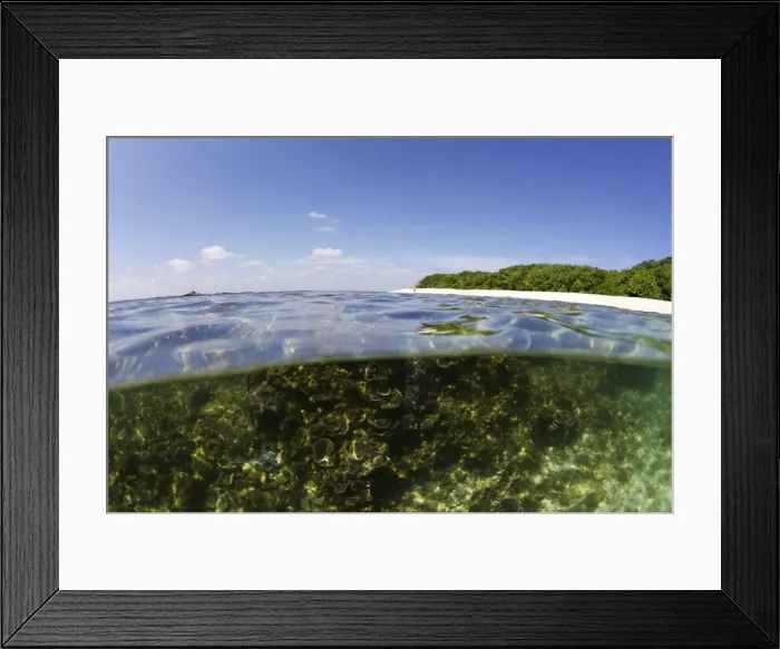 Framed Print : Half underwater split view of Coral Beach on Pigeon Island National Park, Trincomalee, Sri Lanka, Asia Framed Print : Half underwater split view of Coral Beach on Pigeon Island National Park, Trincomalee, Sri Lanka, Asia