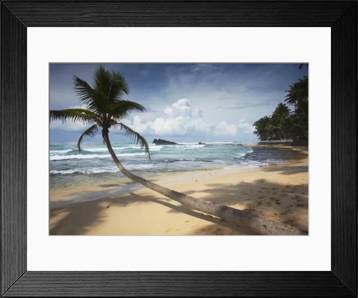 Framed Print : Dalawela beach, Southern Province, Sri Lanka, Asia Framed Print : Dalawela beach, Southern Province, Sri Lanka, Asia