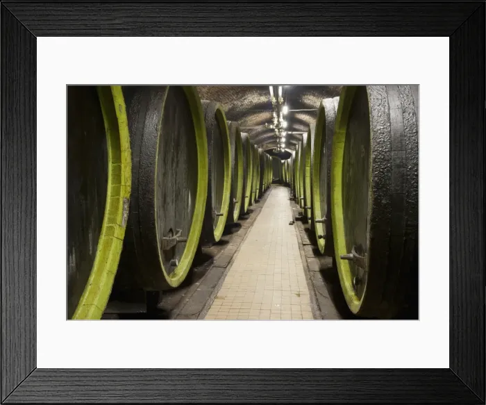 Framed Print : Wooden wine barrels, Rosa Coeli wine cellar, Dolni Kounice, Brnensko, Czech Republic, Europe Framed Print : Wooden wine barrels, Rosa Coeli wine cellar, Dolni Kounice, Brnensko, Czech Republic, Europe