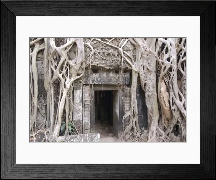 Framed Print : Ta Prohm, Angkor Archaeological Park, UNESCO World Heritage Site, Siem Reap, Cambodia, Indochina, Southeast Asia, Asia Framed Print : Ta Prohm, Angkor Archaeological Park, UNESCO World Heritage Site, Siem Reap, Cambodia, Indochina, Southeast Asia, Asia