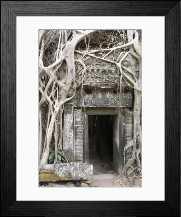 Framed Print : Ta Prohm, Angkor Archaeological Park, UNESCO World Heritage Site, Siem Reap, Cambodia, Indochina, Southeast Asia, Asia Framed Print : Ta Prohm, Angkor Archaeological Park, UNESCO World Heritage Site, Siem Reap, Cambodia, Indochina, Southeast Asia, Asia