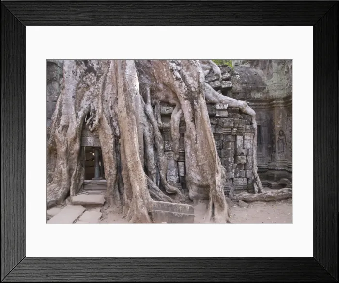 Framed Print : Ta Prohm, Angkor Archaeological Park, UNESCO World Heritage Site, Siem Reap, Cambodia, Indochina, Southeast Asia, Asia