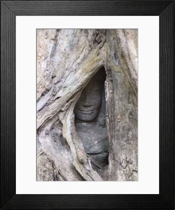 Framed Print : Ta Prohm, Angkor Archaeological Park, UNESCO World Heritage Site, Siem Reap, Cambodia, Indochina, Southeast Asia, Asia